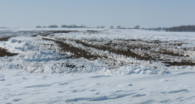 Snow-covered soil